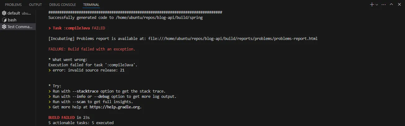 Java バージョン不一致によるエラー画面